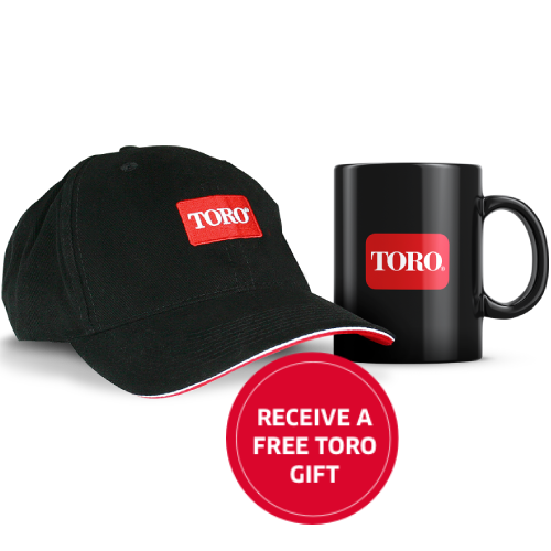 receive a free mug and hat