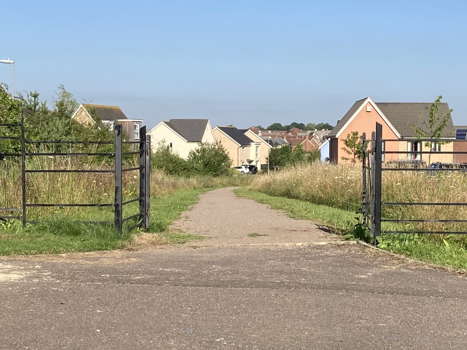 An example of cutting a strip along a pathway to frame the longer grass and keep footpaths open and accessible