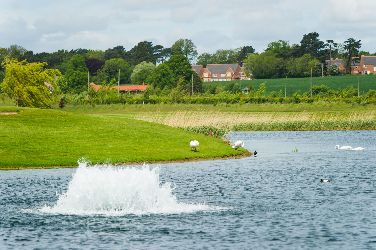 Otterbine aerating systems