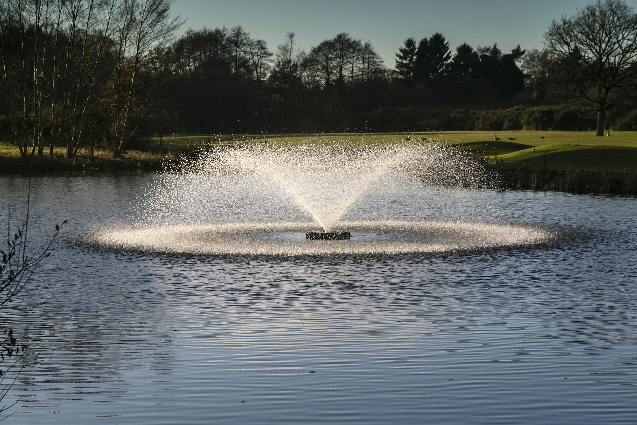 water fountain in a lake 