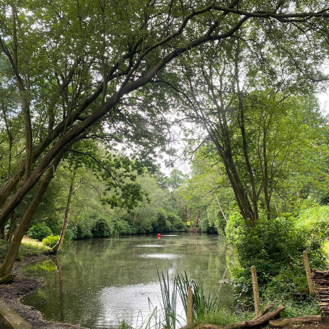 Clear waters at Pinewood means the lake is ready for a summer programme of activities.