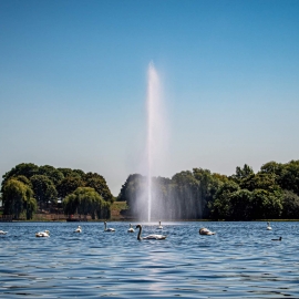 The Otterbine Giant Fountain at Southmere Lake provides a stunning water feature.