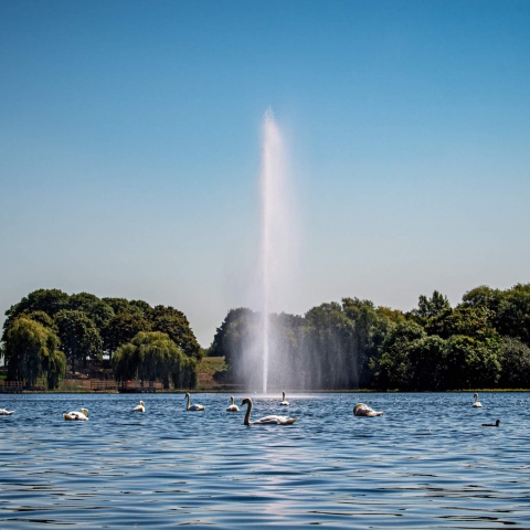 The Otterbine Giant Fountain at Southmere Lake provides a stunning water feature.