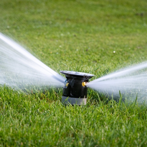 Toro sprinklers in action at West Herts.