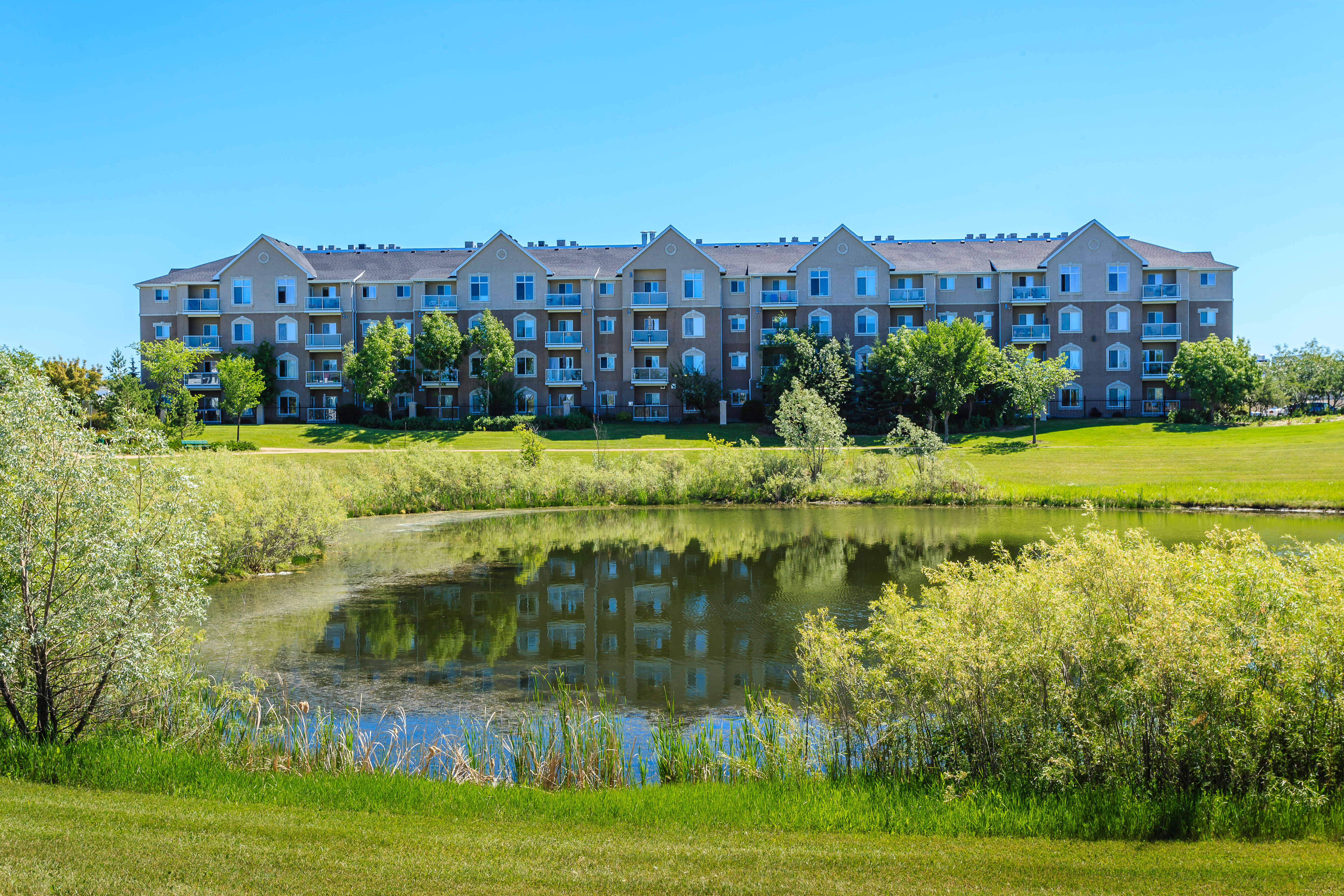 A water run-off lake outside a new build estate.